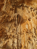 SNV80273.JPG